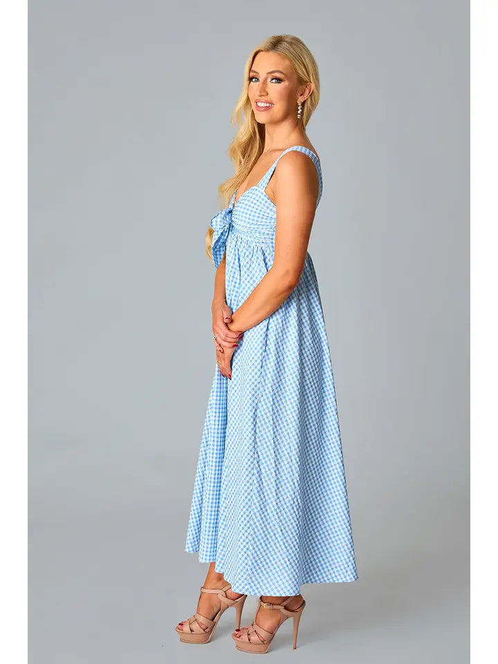 Buddy Love Gingham Dress, Blue and White